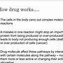 Image result for Drug Discovery Process