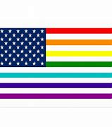 Image result for Rainbow American Flag
