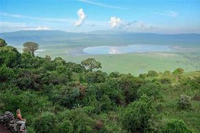 Image result for ngorongoro
