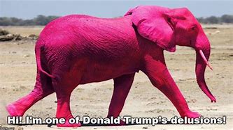 Image result for Pink Elephant Meme
