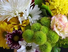 Image result for Yellow Flowers On Green Greetings