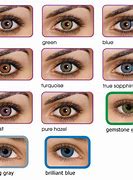 Image result for Black and Purple Contact Lenses