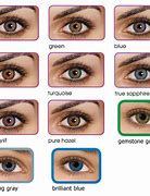 Image result for Color Contact Lenses for Brown Eyes
