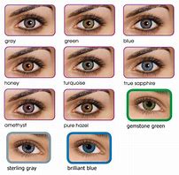 Image result for 1 Month Contact Lenses