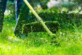 Image result for Garden Grass the Cutted