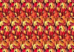 Image result for 3D Magic Eye Illusions