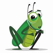 Image result for Cricket Animal Cartoon