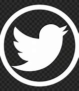 Image result for Twitter Logo White Circle