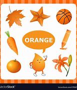 Image result for Things That Are Orange Color