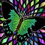 Image result for Pretty Rainbow Butterflies