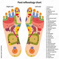 Image result for Acupuncture Drawing