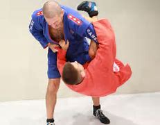 Image result for Sambo Techniques
