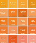 Image result for Rose Gold Color Shade