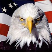 Image result for Eagle with Flag with Prey in Beak
