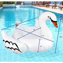 Image result for Large Inflatable Swan Float