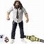 Image result for WWE Action Figures