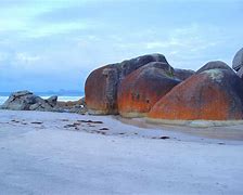 Image result for Beach Rocks