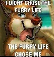 Image result for Furry Memes LGBTQ