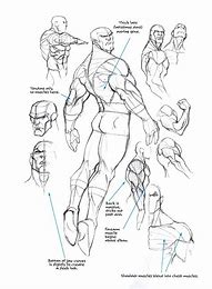 Image result for Figure Drawing Ideas