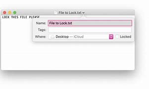 Image result for Lock Check Box On a Mac