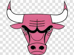 Image result for Chicago Bulls NBA Crystal Meth Crank