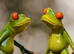 Image result for Frog with Root Beer