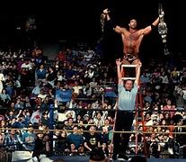 Image result for WWF Ladder Match Images