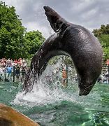 Image result for Zoo Praha