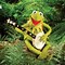 Image result for Sesame Street Kermit