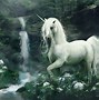 Image result for Cool Unicorn