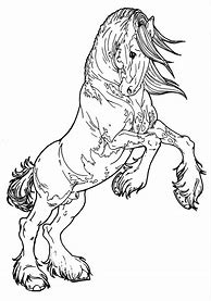 Image result for Adult Horse Coloring Pages