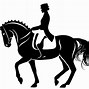 Image result for Dressage Horse
