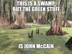 Image result for Swamp Creature Meme
