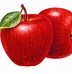 Image result for 2 Apples Clipat