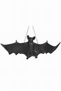 Image result for Giant Hanging Bat