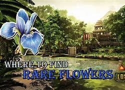Image result for Rare Flowers Lost Island Map