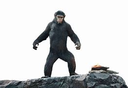 Image result for Dawn of the Planet Apes