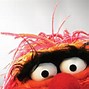 Image result for Funny Muppets