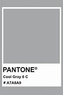 Image result for Pantone Cool Gray 6 C