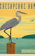 Image result for Chesapeake Save the Bay Photos Photos