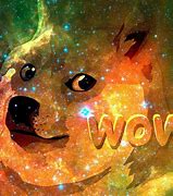 Image result for Doge Beenie Galaxy