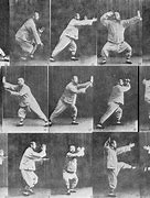 Image result for Dialogue of Tai Chi Chuan Wu Style