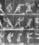 Image result for Wu Style Tai Chi Orange Cover Chi Flow
