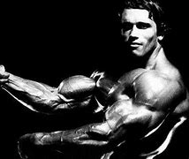 Image result for Arnold Schwarzenegger Bodybuilding Back