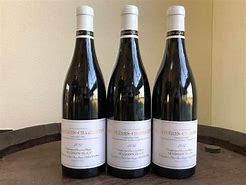 Image result for Ilan Chambertin