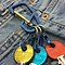 Image result for carabiners keychain rings