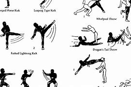 Image result for Easy Karate Moves