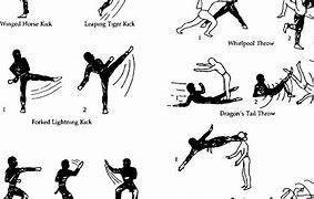 Image result for Karate Techniques