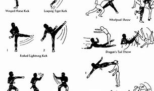 Image result for Simple Karate Moves