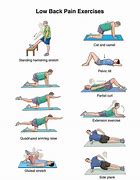 Image result for Chiropractic Exercises for Lower Back Pain